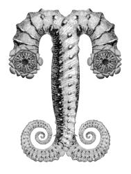 The Exactness of Tingling