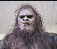 Cornelius A. Sasquatch Cornelius A. Sasquatch